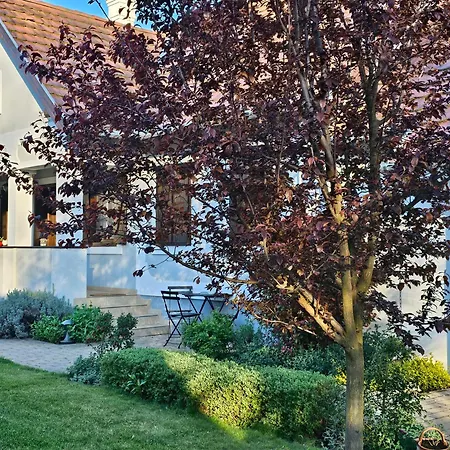 Kalium Vendeghaz Appartement Mindszentkálla