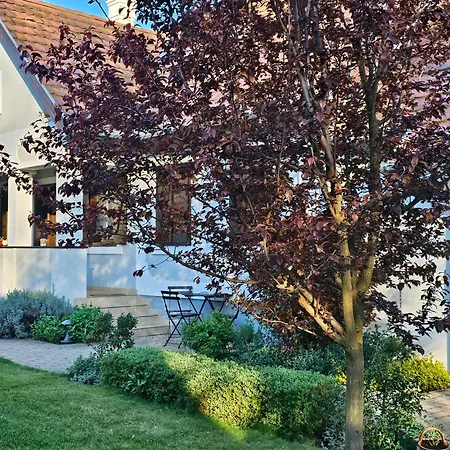 Kalium Vendeghaz Apartment Mindszentkalla
